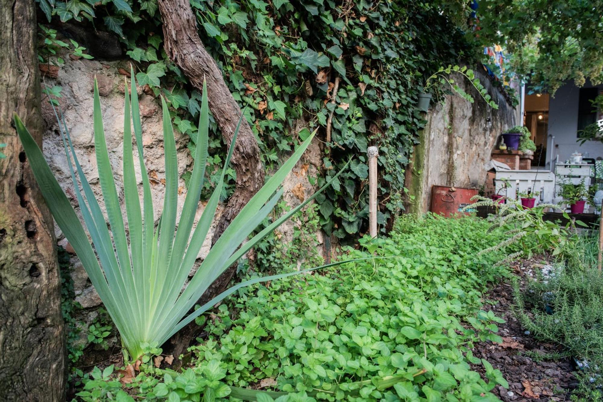 Hotel Casa Babbuino Werona Zewnętrze zdjęcie